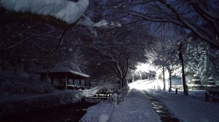 2219DA4056932E6122079C