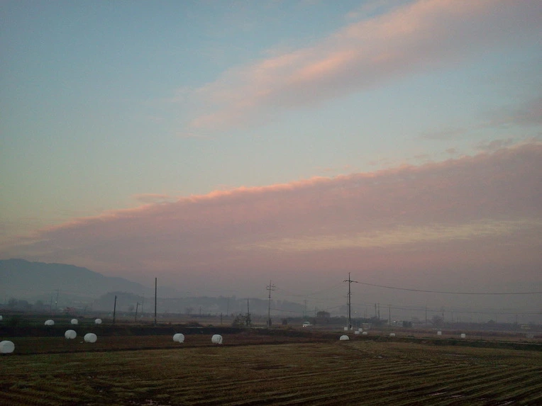 0104003F50935FAD3381D9