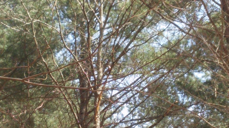 254C553B56E4ED05370952