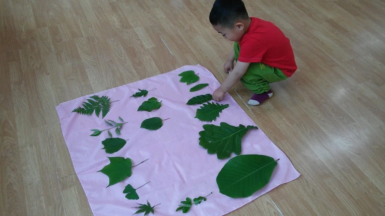 245B4343565285322E3CA2