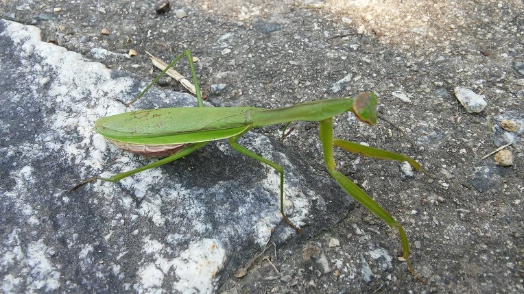 255F67335600FDF91155F7