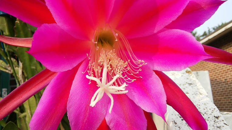 2314EF3D5745884029BABB