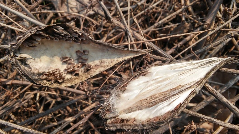 275ED43556B3077F10D0AA