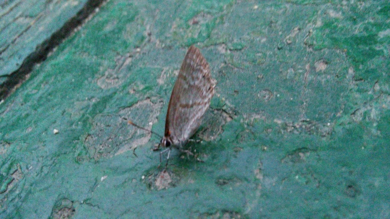 26422F4455F00280132A26