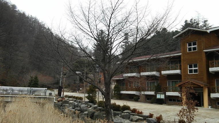 2364B93556E653C0064ED8