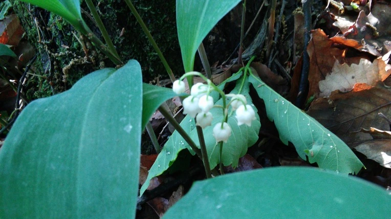 23189C4957292A221C0200