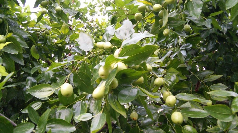 2728F34457B9221F0B4D9B