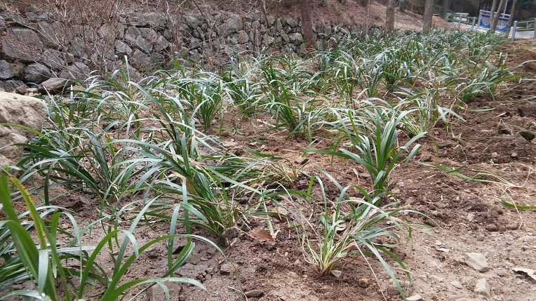 2744034256F4DC710C6653