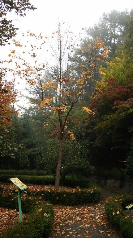 223ED83A5625E54C228B45