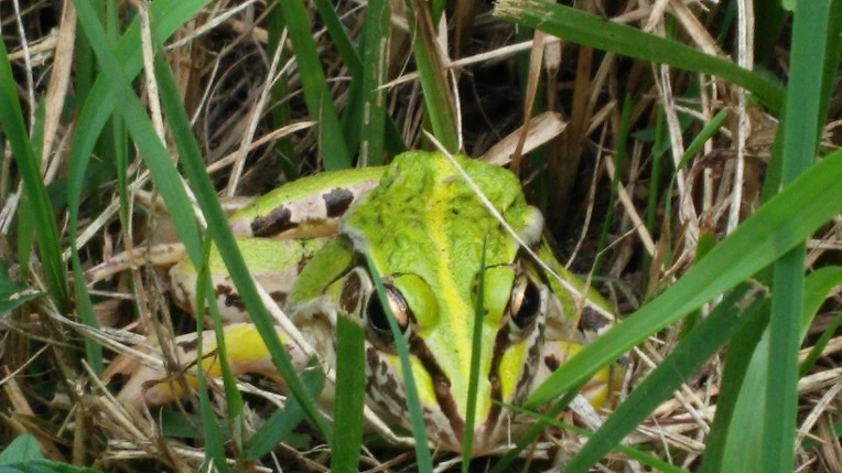 2207B83457D665CF1C004B