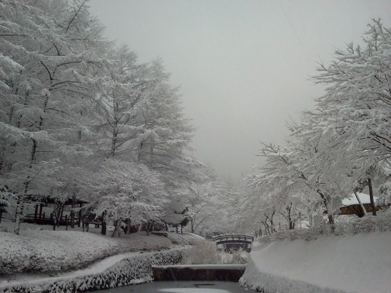 2461B850547F927F0F28A1