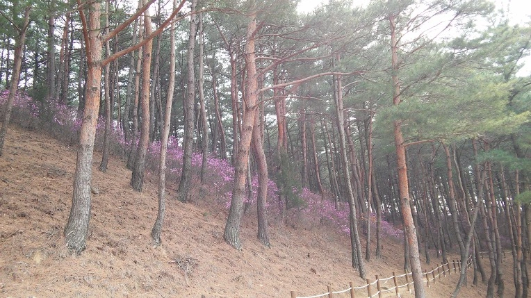 252B384458D8DBBB153907