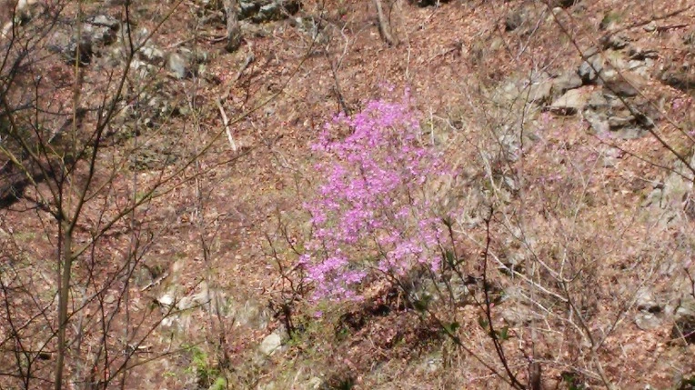 2378BA3458FBF7EF1AB5FF