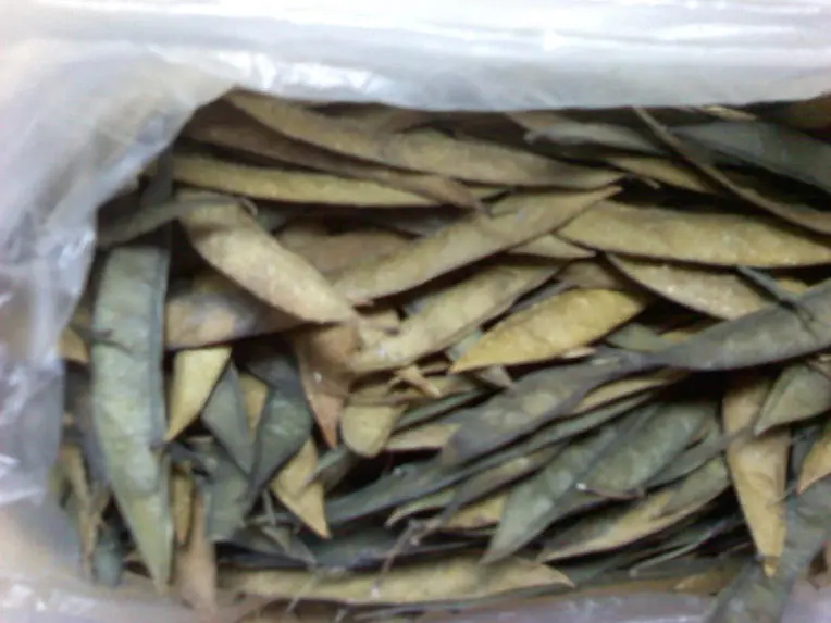 12402B534D3D383F1A6D6C