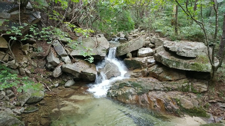 99419A485D9ACD8812B94B