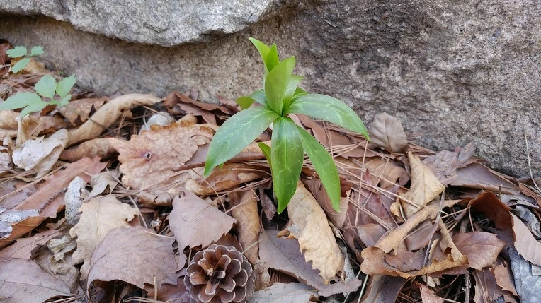 99CA373B5DBE5F3F32AAEF