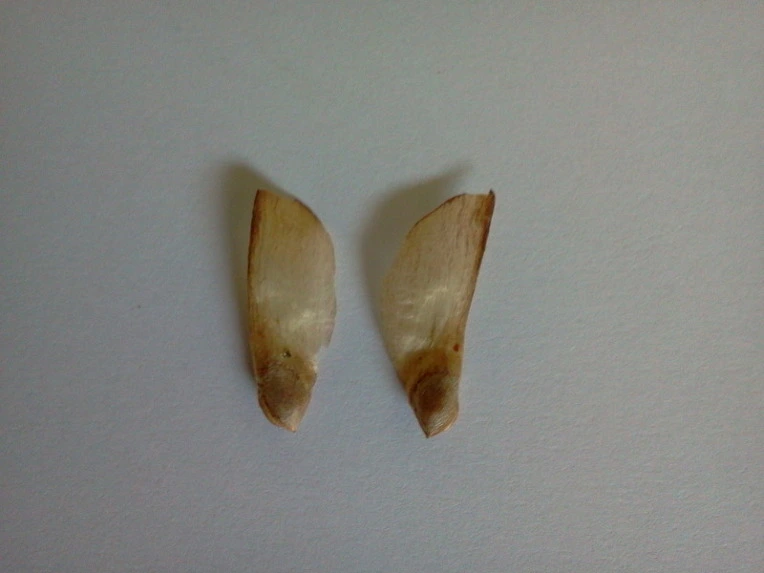 140913534E4E413C074A84