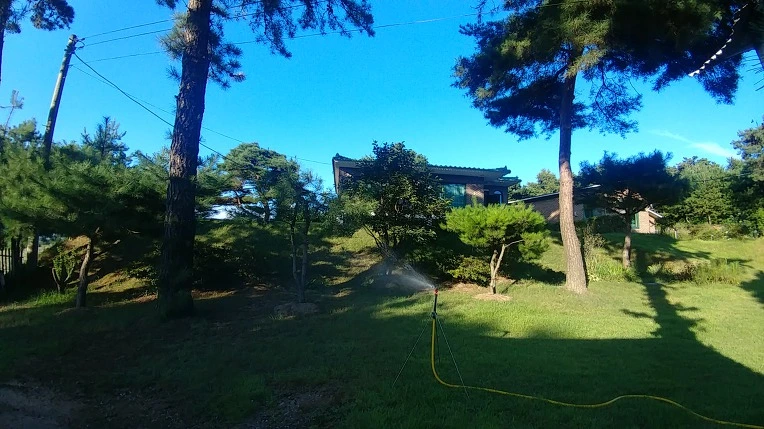 9964973B5B6F797F0A671E