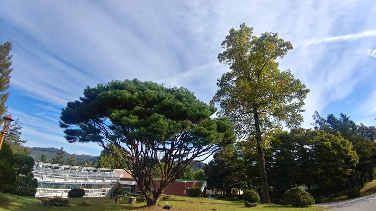 99B1CA405BBAFC6B31E205