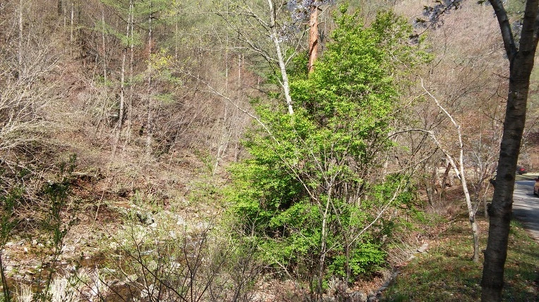 2774093458FBF7EC24C676