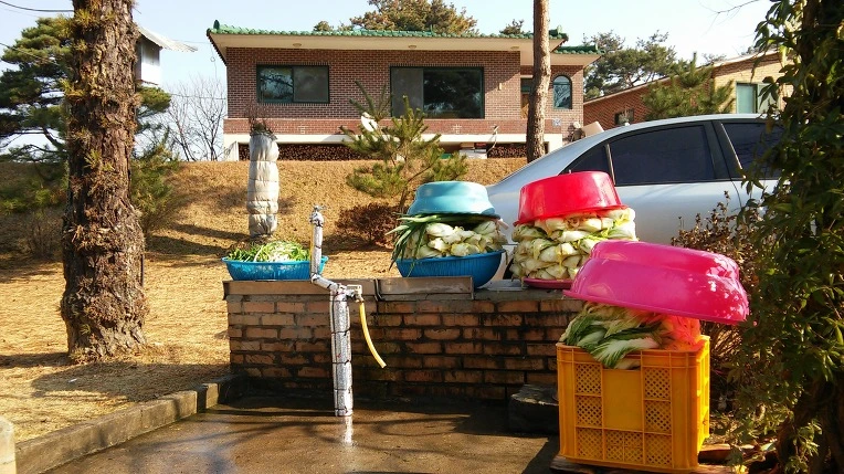 2146D13654686E302C0E89