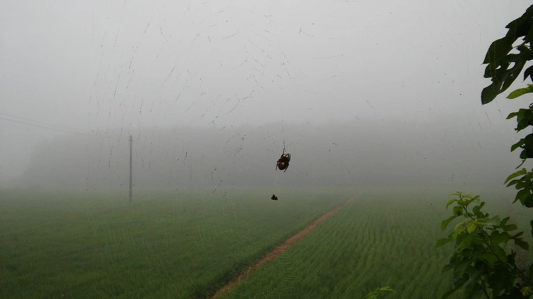 225F7447579FED3520B2F1