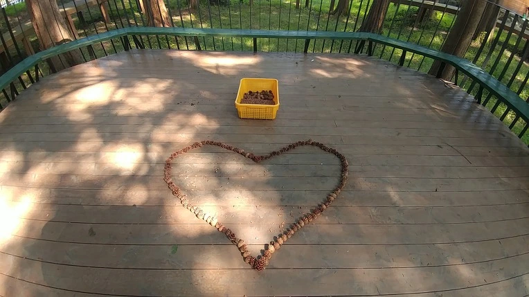 9969FD495B4D8E5E2014C1