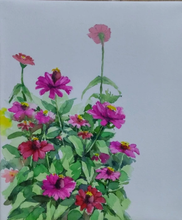 2423924D57EC6CDF343A0B