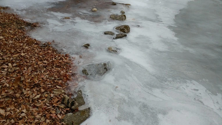 99C658505A44651102A931