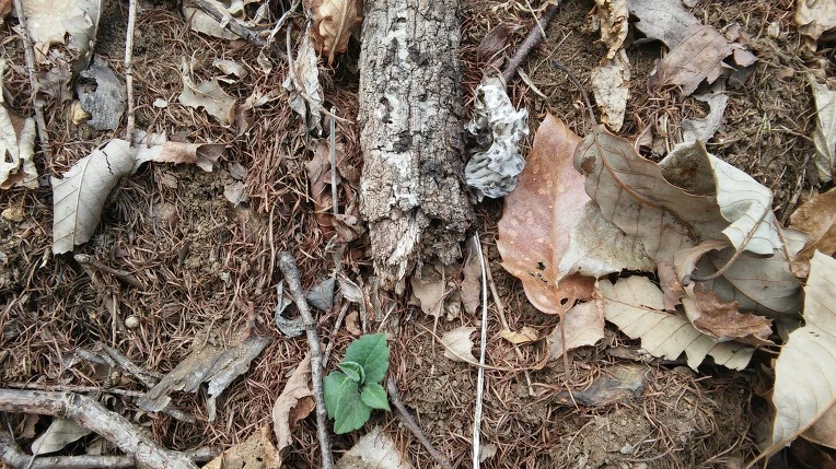 264D903B56F3916F3253B7