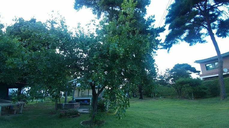 99951D385B6F79A23C81BC