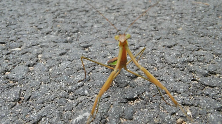 26329F4E56088F242FCF48