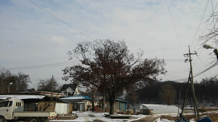 21647938588318F708107B