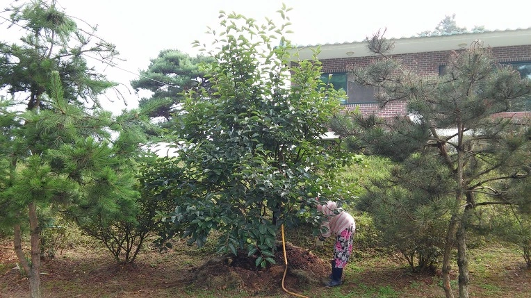 2153163957D0BA1831D3D5