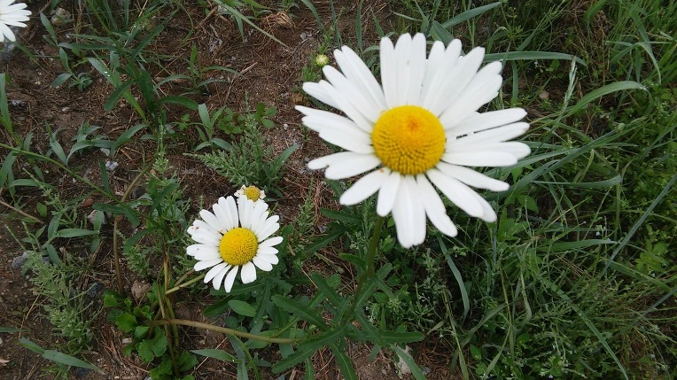 2170F3335747BA2727D081