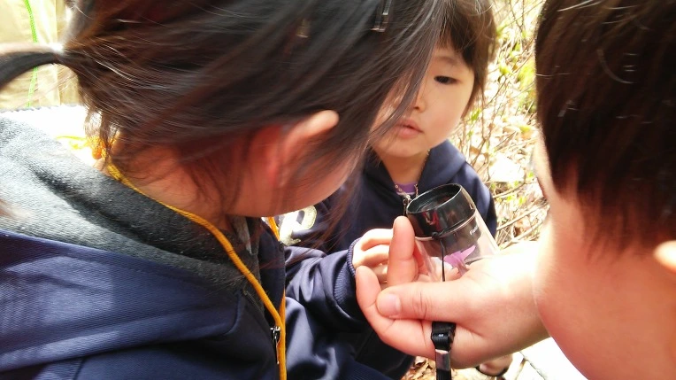 24448E46552F14621FFA37