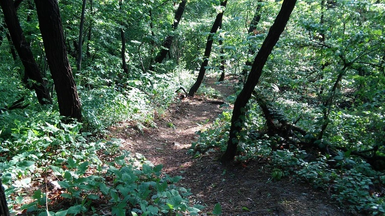 240BC84B57292CF122EDB1