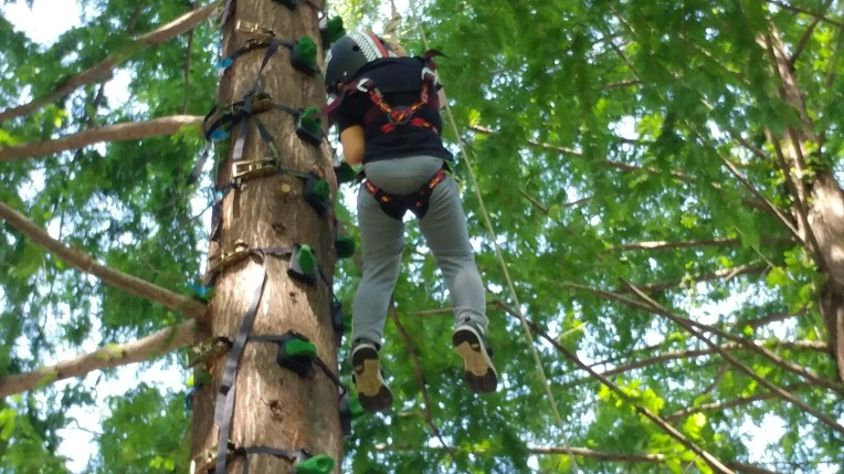 9963813C5B57BECF064642