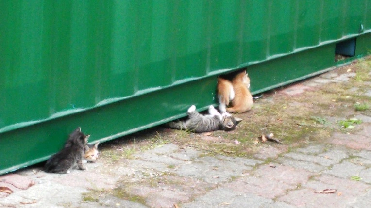 2761914C558F161D0589DB