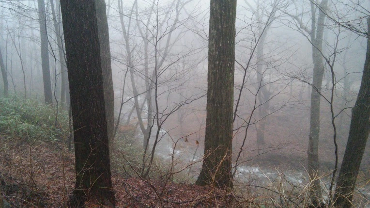 264CB75056DB6FCA1FC583