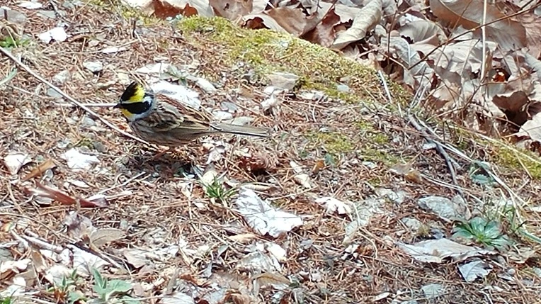 99798F425AC8A28A0AC27F