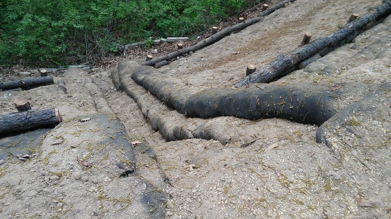 2311B149572696F50D867D