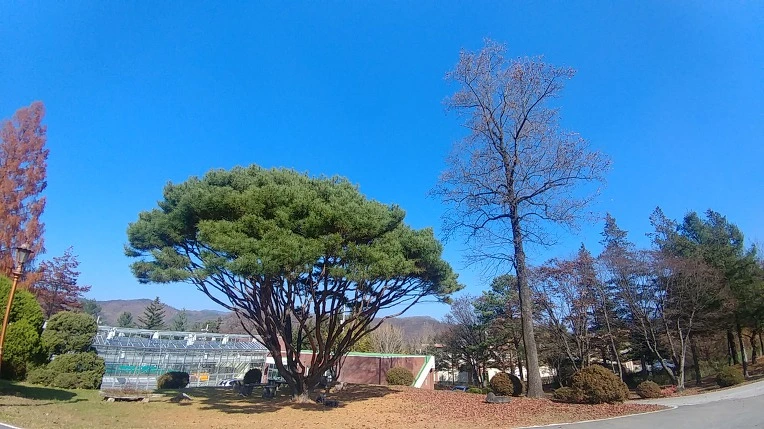 9929B6365C275B092DEF37