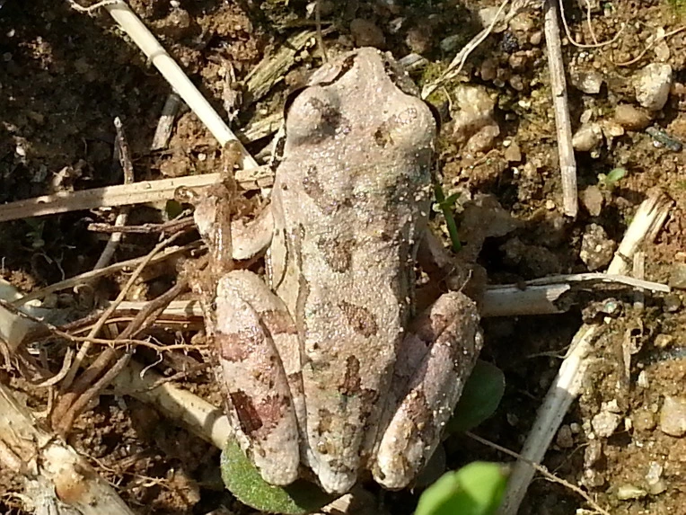 27083B4C56B024E2289FD7