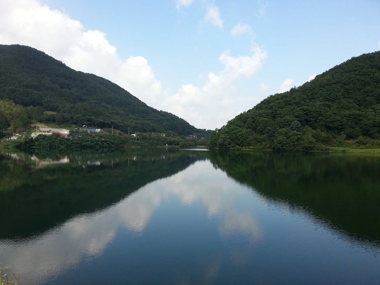 2155EF5056946FD3275615