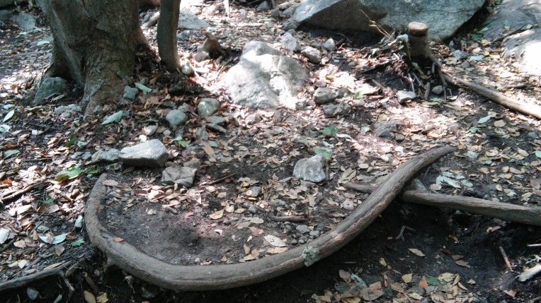 22140F3D560FBC012D1AFF