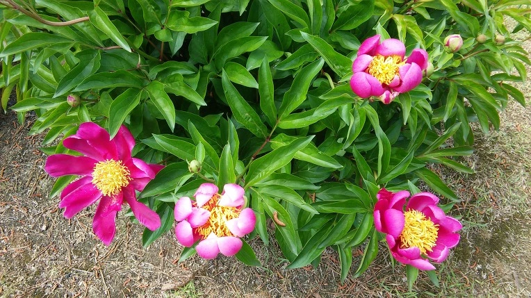 22303A3B573A5A9E35DC55