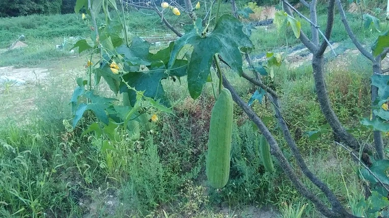 9967B2365B6F79B00B0232