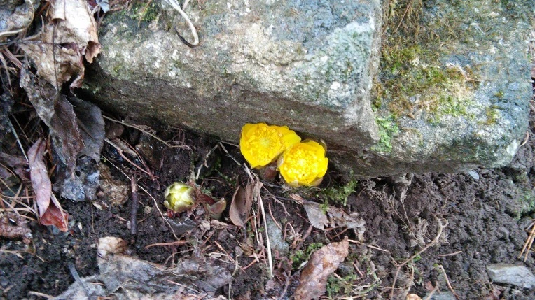 267A893E56D108823816F0