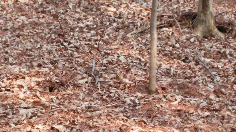 241C593656E771C90642B3